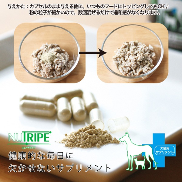 犬 猫用 Nutripe ニュートライプ Glm サプリ 1粒 緑イ貝100 関節 軟骨 皮膚 被毛 サプリメント ペットフードとペット用品通販サイトファンタジーワールド