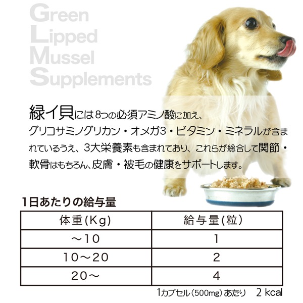 犬 猫用 Nutripe ニュートライプ Glm サプリ 1粒 緑イ貝100 関節 軟骨 皮膚 被毛 サプリメント ペットフードとペット用品通販サイトファンタジーワールド