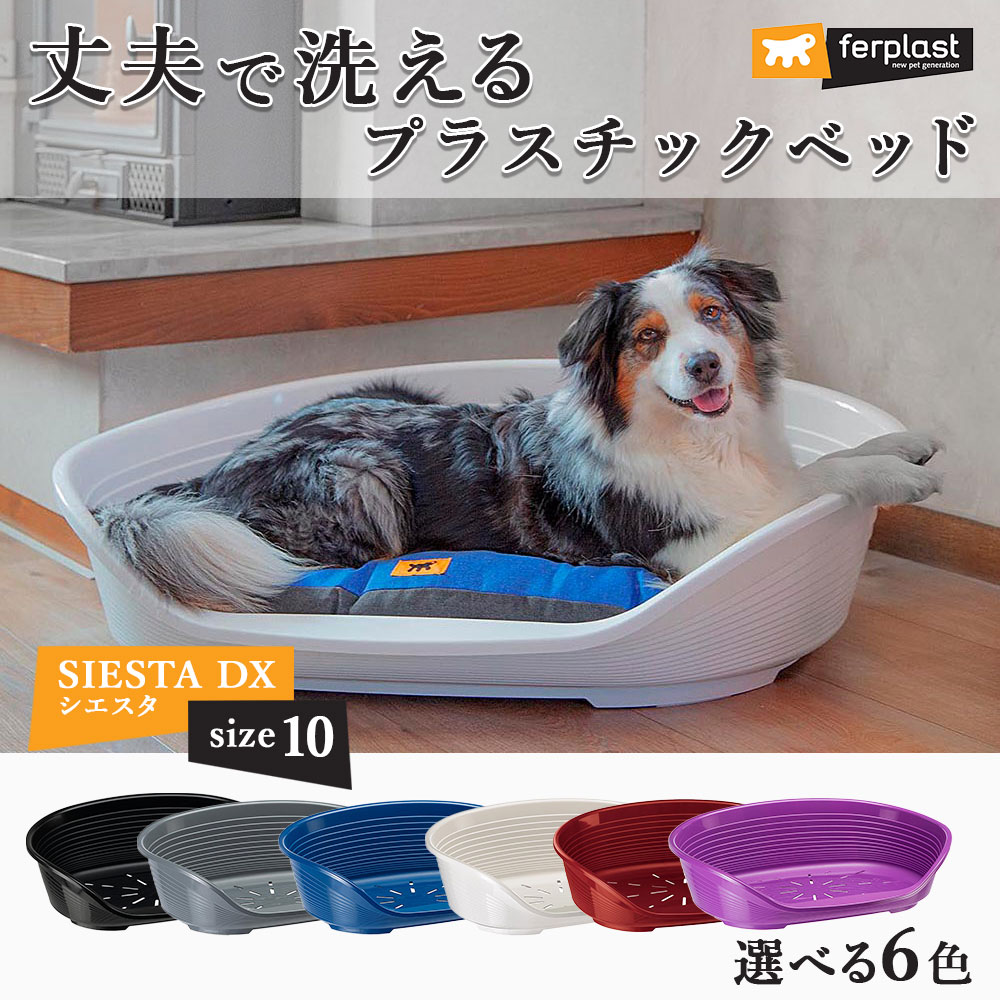 イタリアferplast社 ファープラスト シエスタ Siesta Dx 10 犬 猫 洗える ベット プラスチック ハウス 送料無料 ペットフードとペット用品通販サイトファンタジーワールド