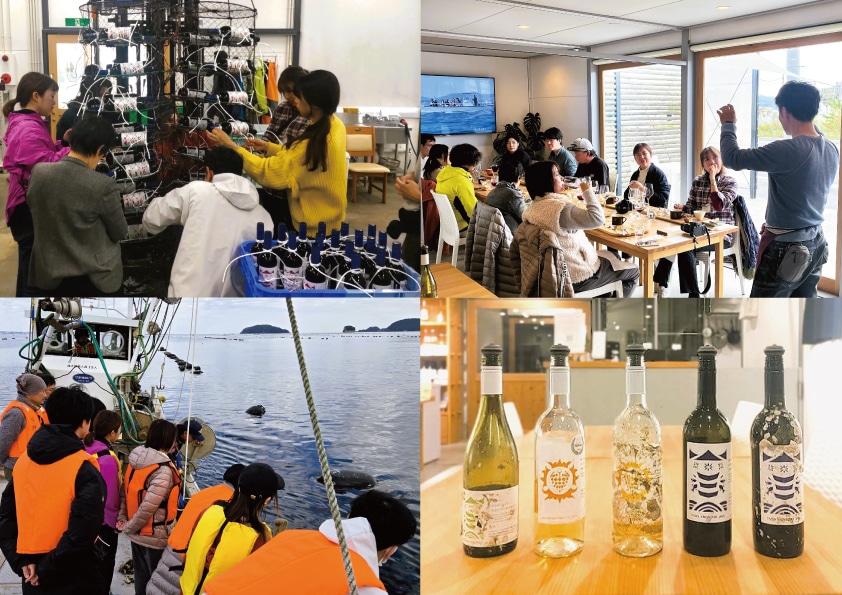 海中熟成ワイン体験イベント