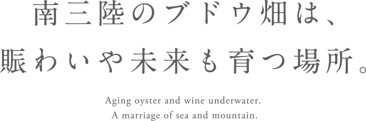 南三陸のブドウ畑は、賑わいや未来も育つ場所。