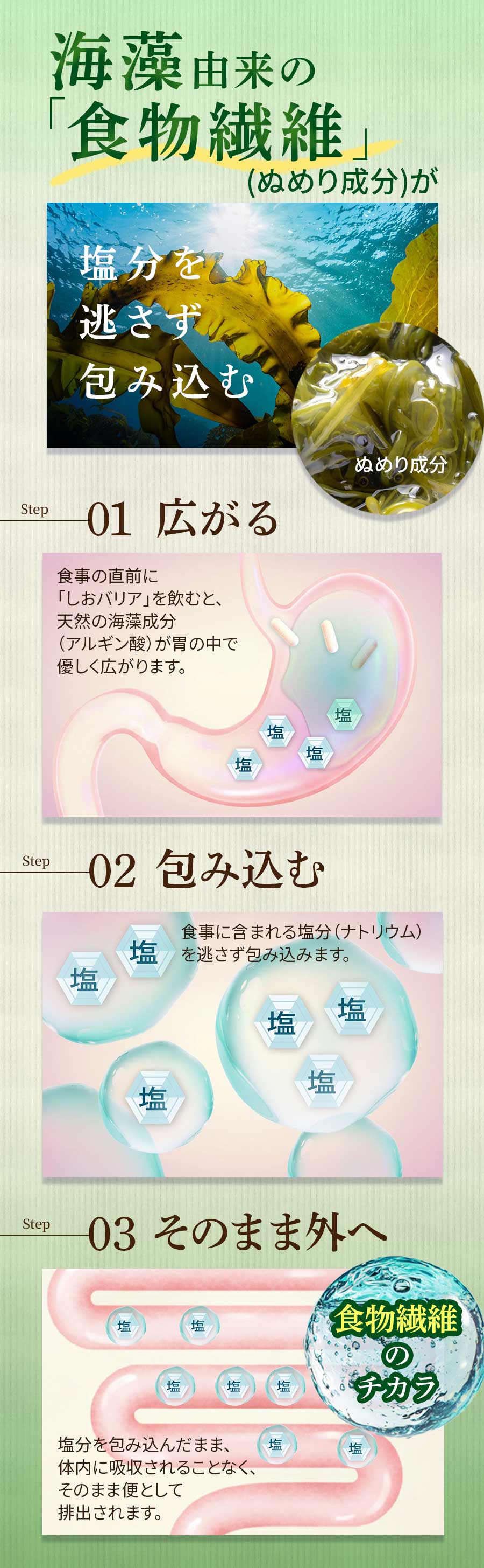 ��ʬ������ʬ�۹� ���ץ� �����Хꥢ