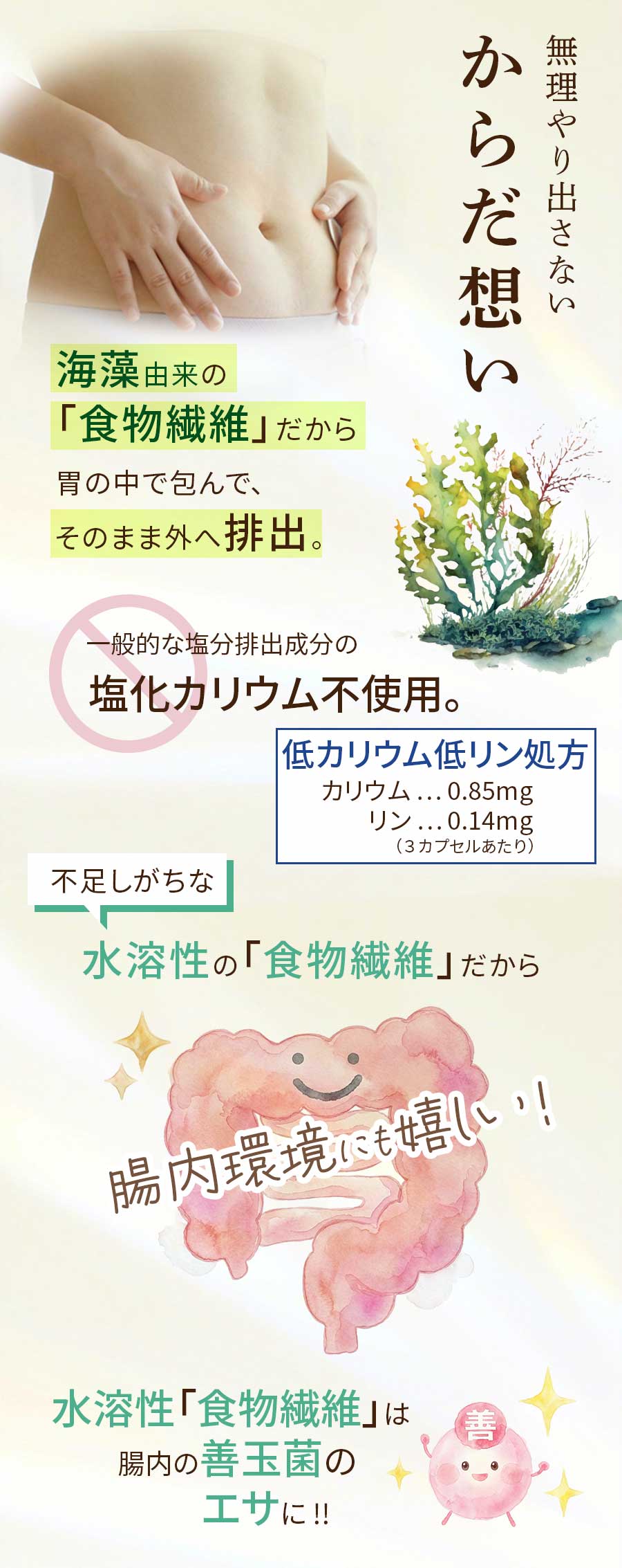 ��ʬ������ʬ�۹� ���ץ� �����Хꥢ