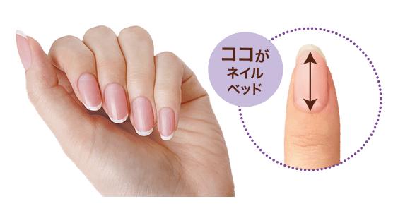 アンドネイル ネイルベッドオイル