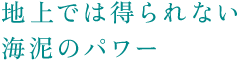 海上では得られない海泥パワー