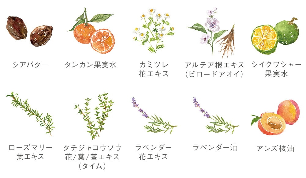 ママバター mama butter BBクリーム 30g