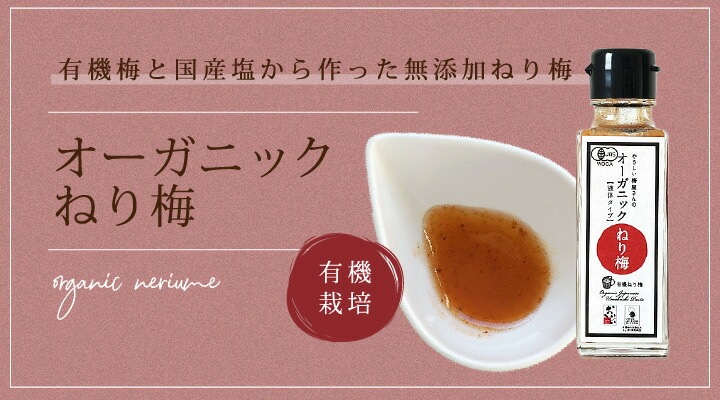 やさしい梅屋さん 深見梅店 オーガニック練り梅（有機練り梅）、液体タイプ　110ｇ瓶ボトル入り
