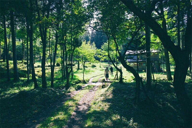 フプの森 フレグランススプレー 5ml　夏の森