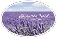 ミネラリア デッドシーバスソルト