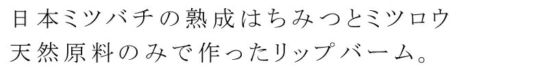 希少なニホンミツバチのミツロウとはちみつ