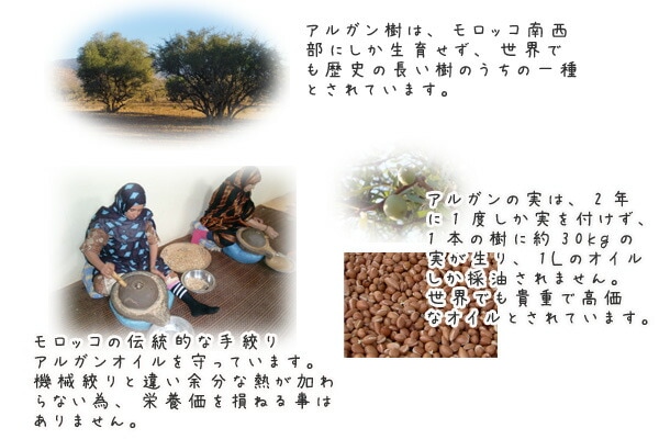 モロッコの伝統的な手絞りアルガンオイル。