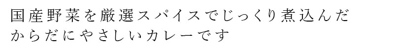 国産野菜を厳選スパイスでじっくり煮込んだからだにやさしいカレーです。