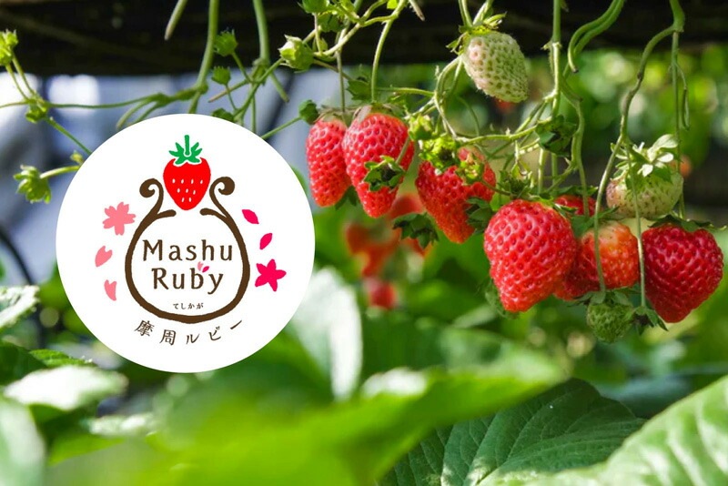 マイハニー my Honey いちごジャム 摩周ルビー