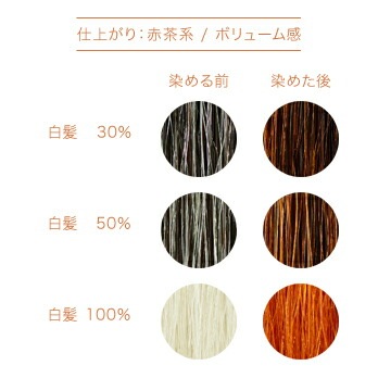 赤茶系 仕上がり ボリューム感