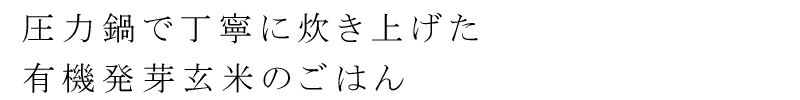 圧力鍋で丁寧に炊き上げた、有機発芽玄米のごはん