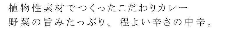 植物素材で作ったこだわりカレー。野菜の旨みたっぷり、程よい辛さの中辛。