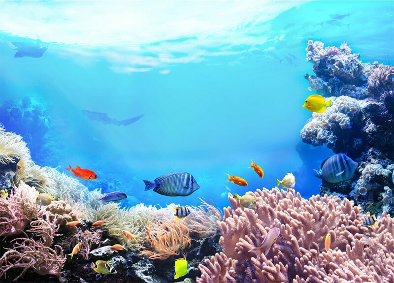 紫外線予報 メイクを守るUVスプレー 60g