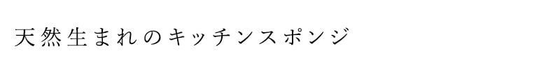 天然生まれのキッチンスポンジ