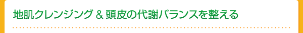地肌クレンジング＆頭皮の代謝バランスを整える