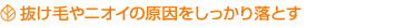 抜け毛やにおいの原因をしっかり落とす