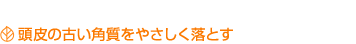 頭皮の古い角質を優しく落とす