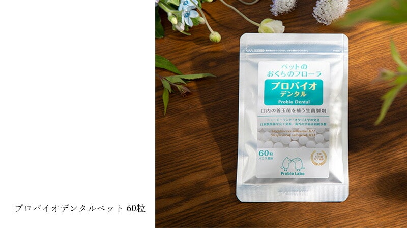 プロバイオデンタル ペット 60粒