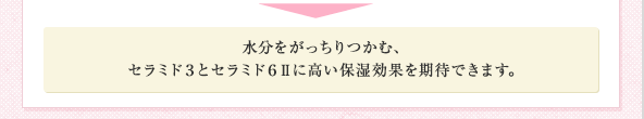 水分をがっちりつかむ、セラミド3とセラミド6〓に高い保湿効果を期待できます。
