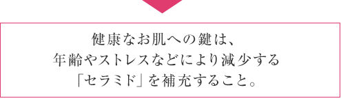 健康なお肌への鍵は、年齢やストレスなどにより減少する「セラミド」を補充すること