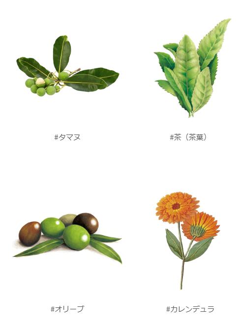UlaUla ウラウラ ブライトニングセラムファンデーション