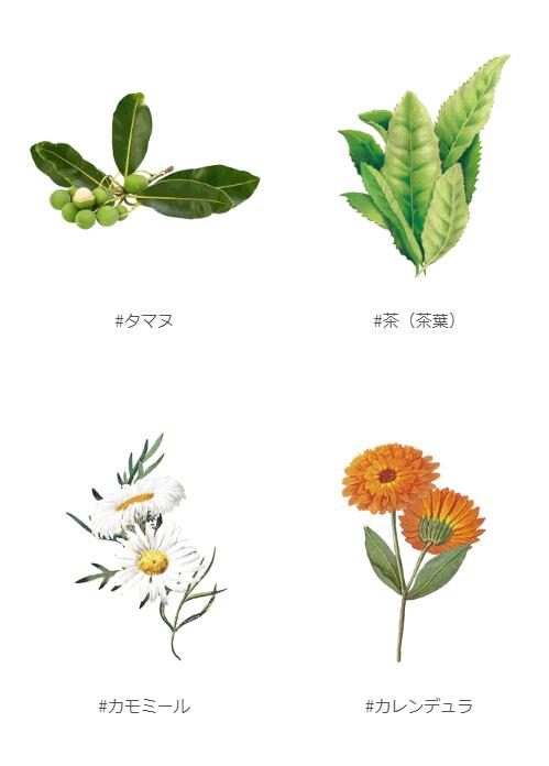 UlaUla ウラウラ ブライトニングセラムファンデーション