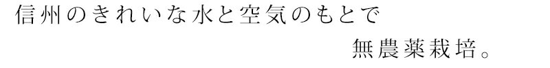 信州のきれいな水と空気のもとで無農薬栽培。