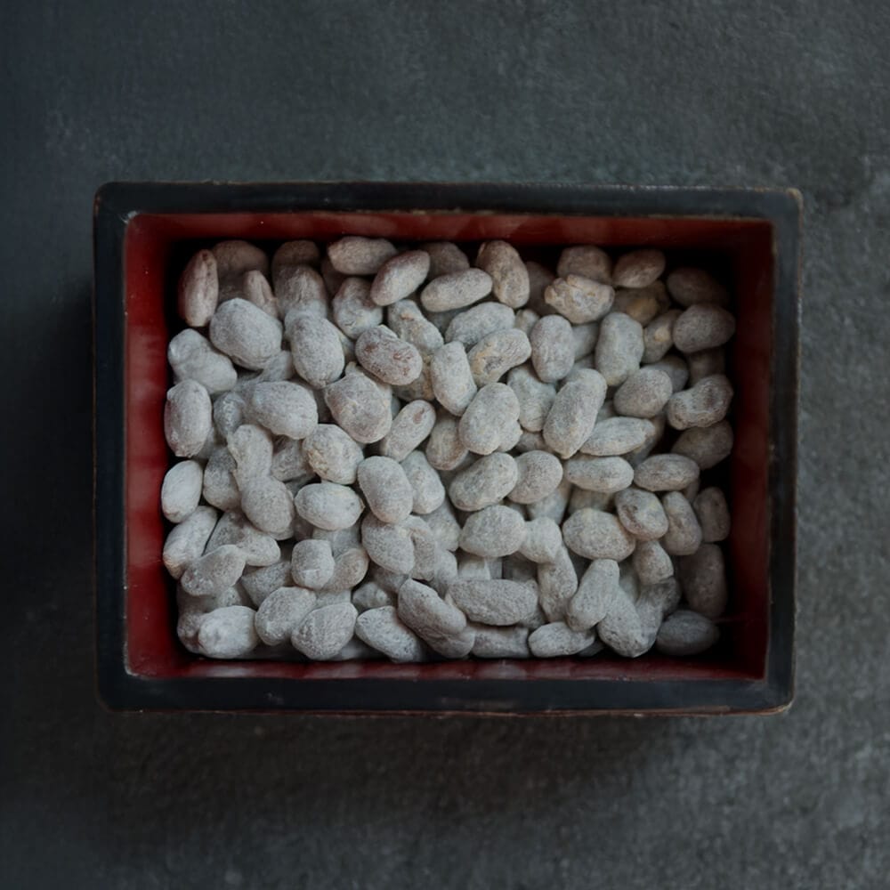 こるまめの画像