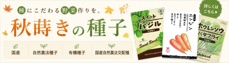 秋蒔き種子