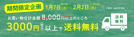 3000円以上で送料無料
