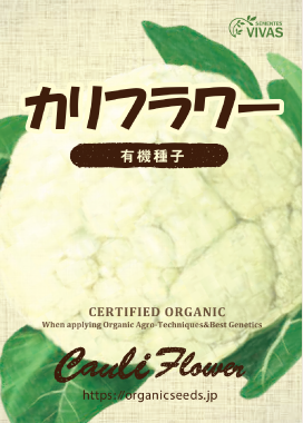 有機種子　カリフラワー