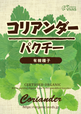 有機種子　コリアンダー　パクチー
