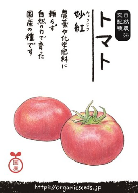 国産・自然農法種子 トマト