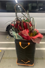 回収胡蝶蘭のサンプル｜搬出完了｜車両へ積み込み前の状態