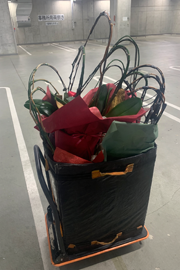 回収胡蝶蘭のサンプル｜回収作業中｜台車で搬出準備（梱包済み）