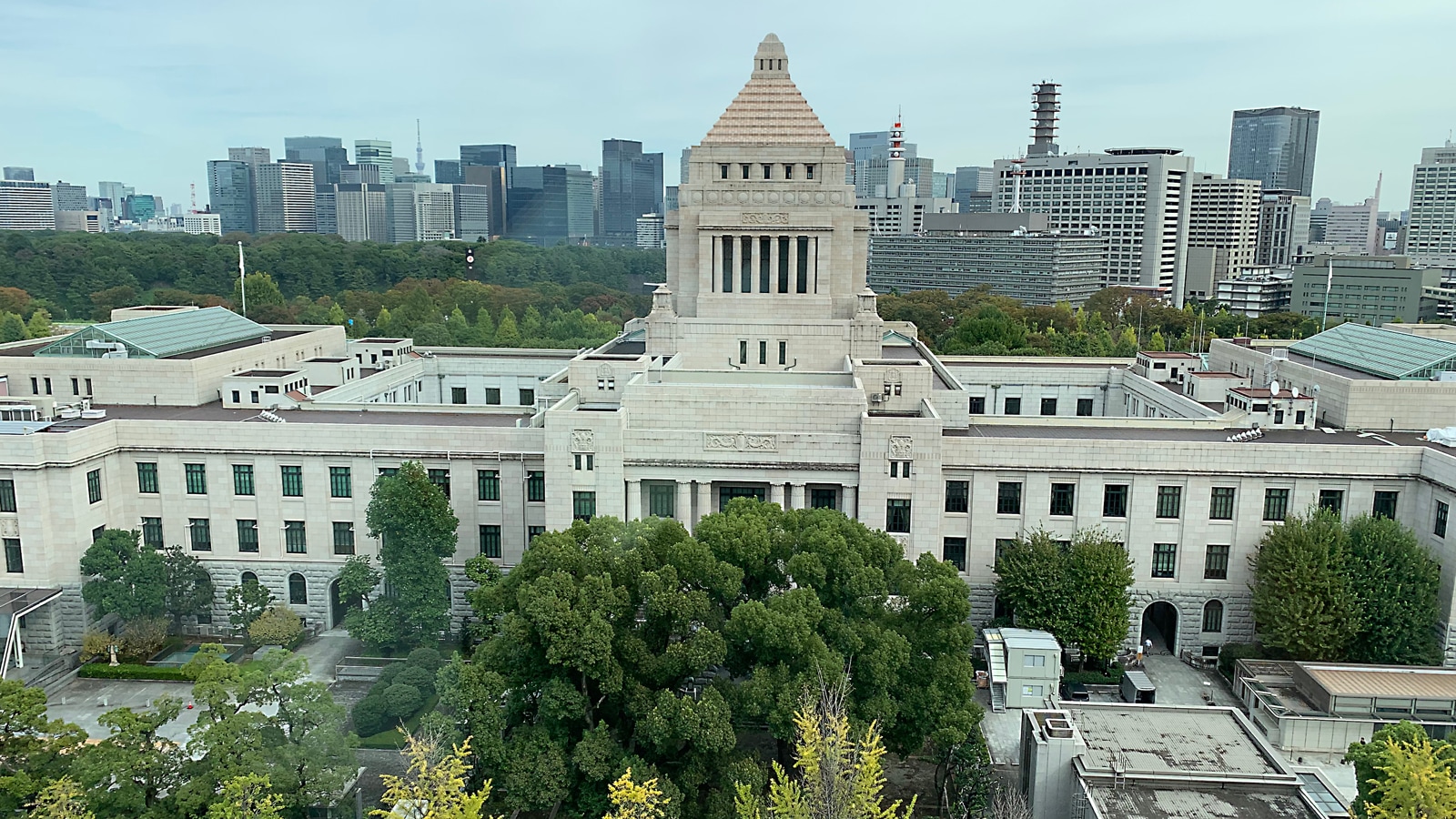 当選祝いの胡蝶蘭を議員会館・永田町周辺へお届け