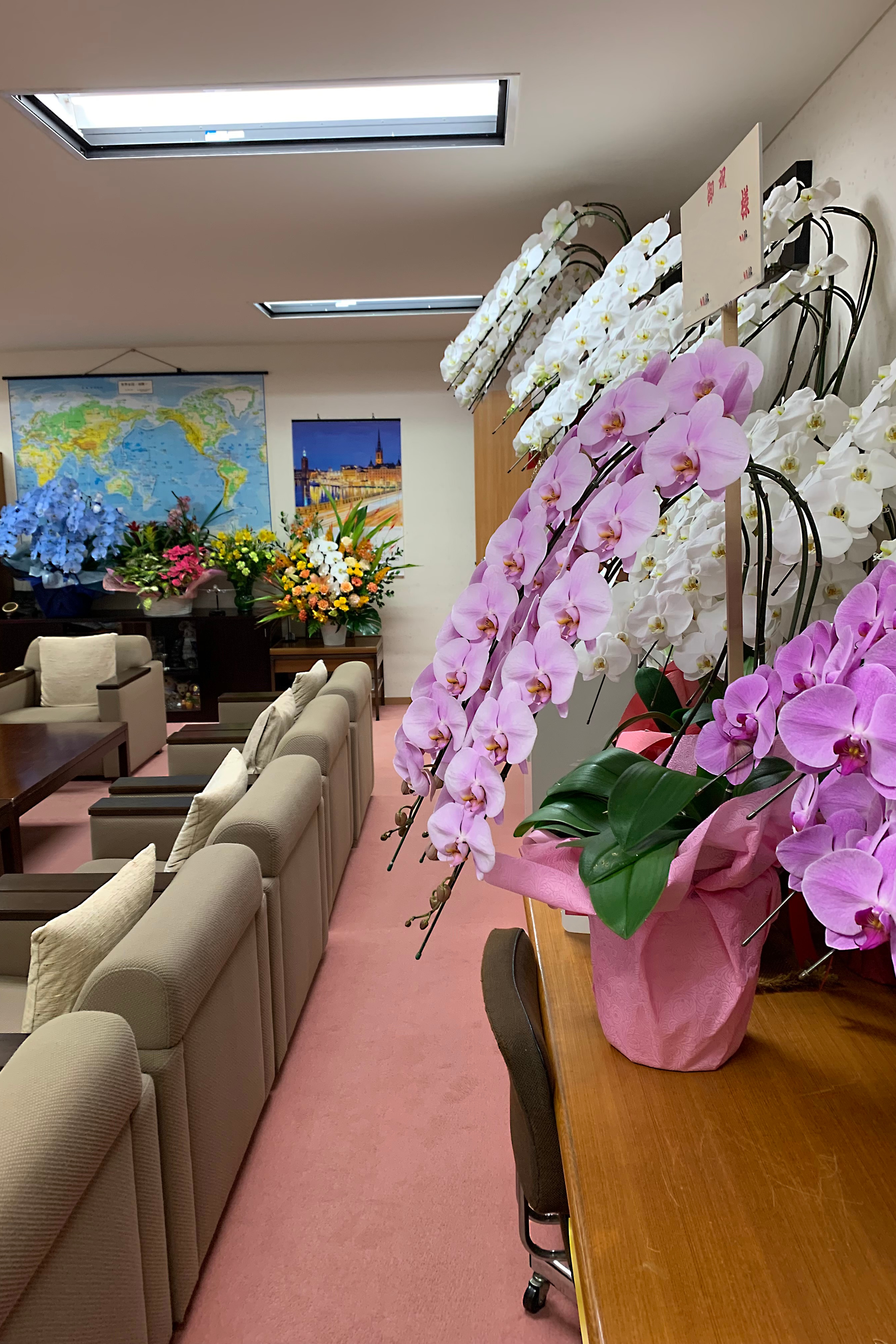 当選祝い 胡蝶蘭 納品例