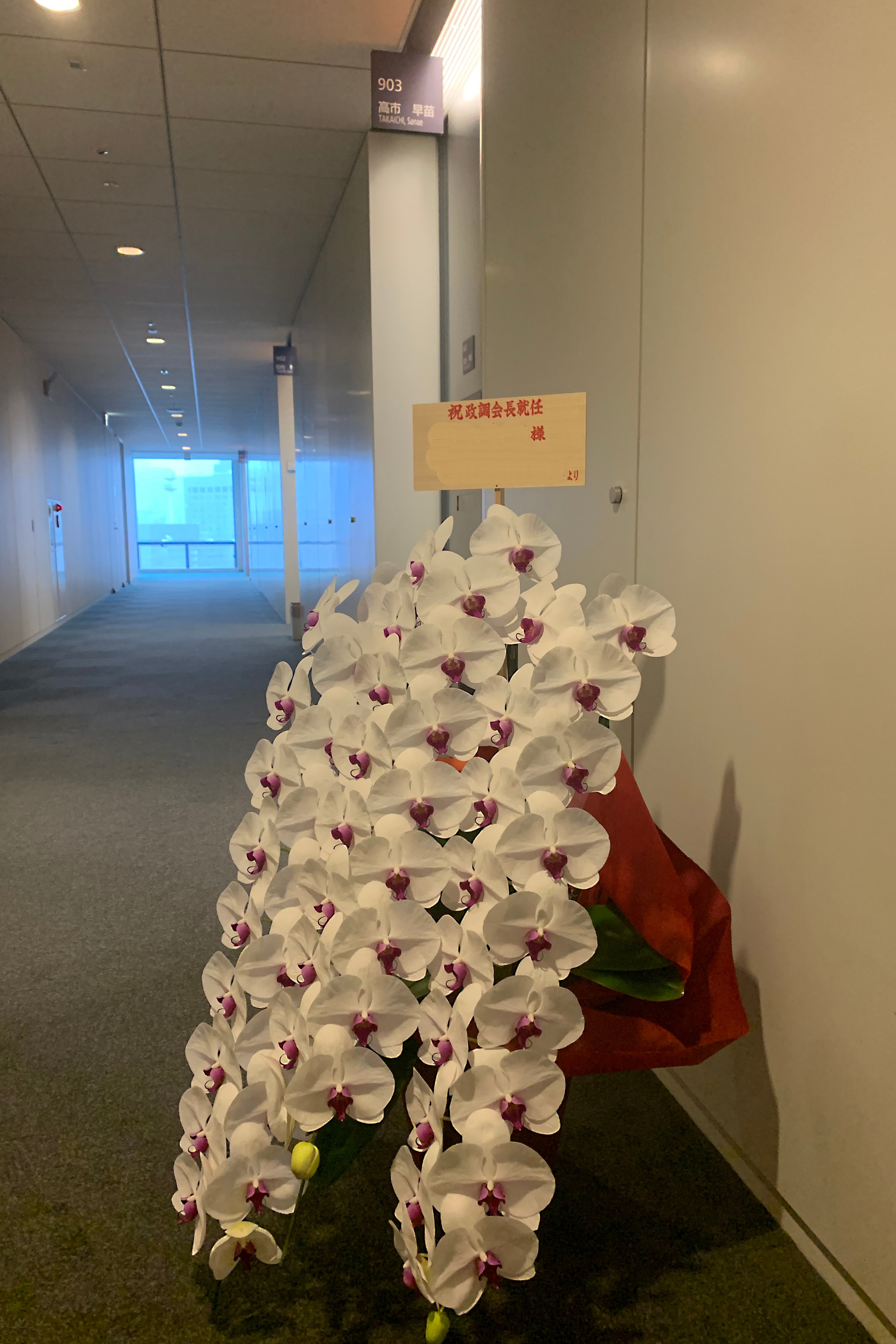 当選祝い 胡蝶蘭 納品例（3本立）