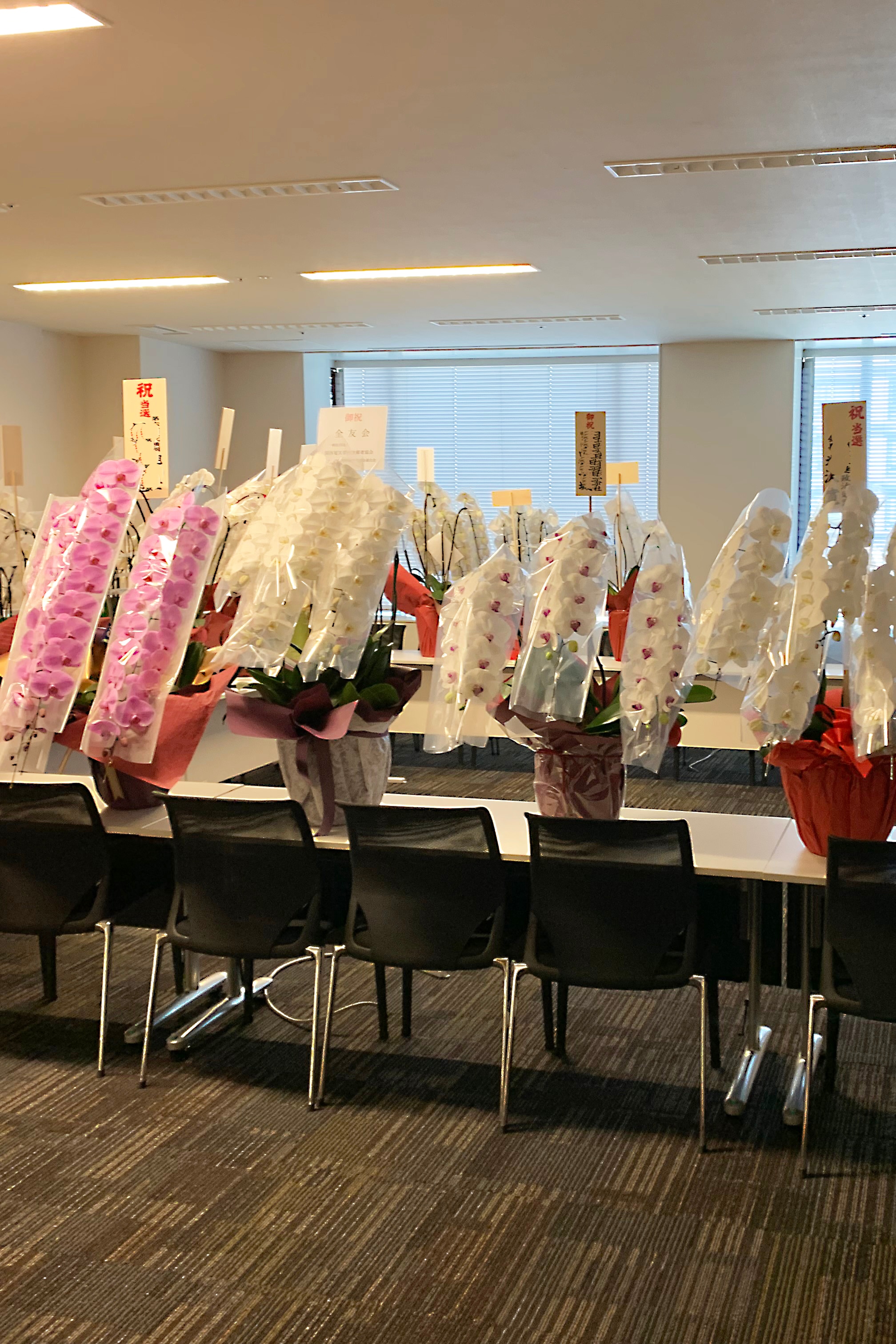 当選祝い 胡蝶蘭 納品例