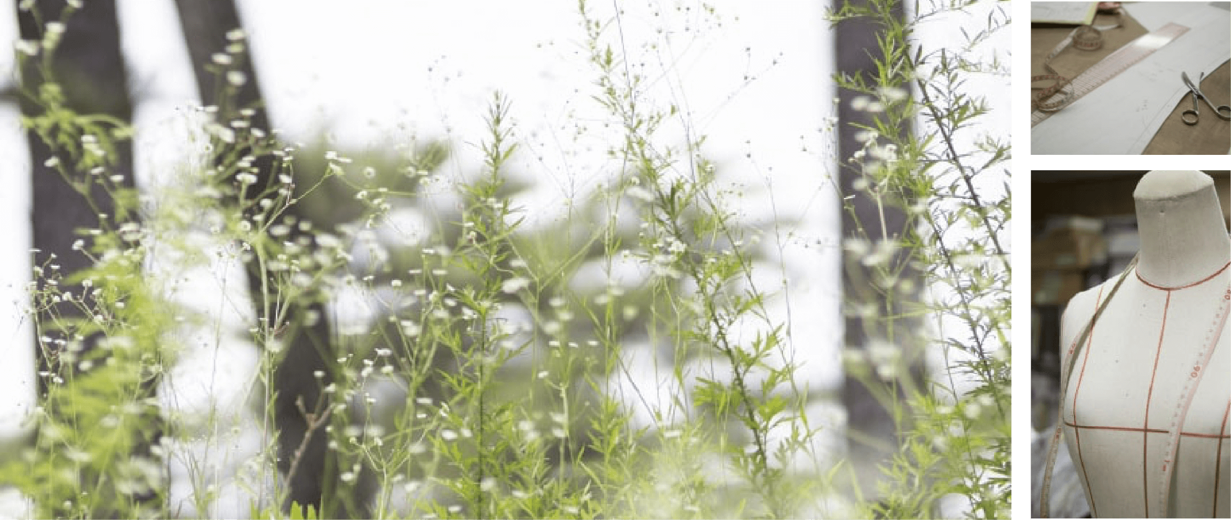 大切にしていること