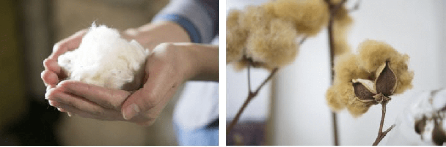 お届けについて