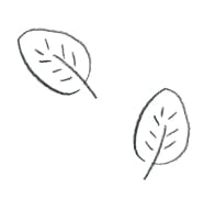 Comfy Spring Layers特集