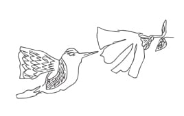 Comfy Spring Layers特集