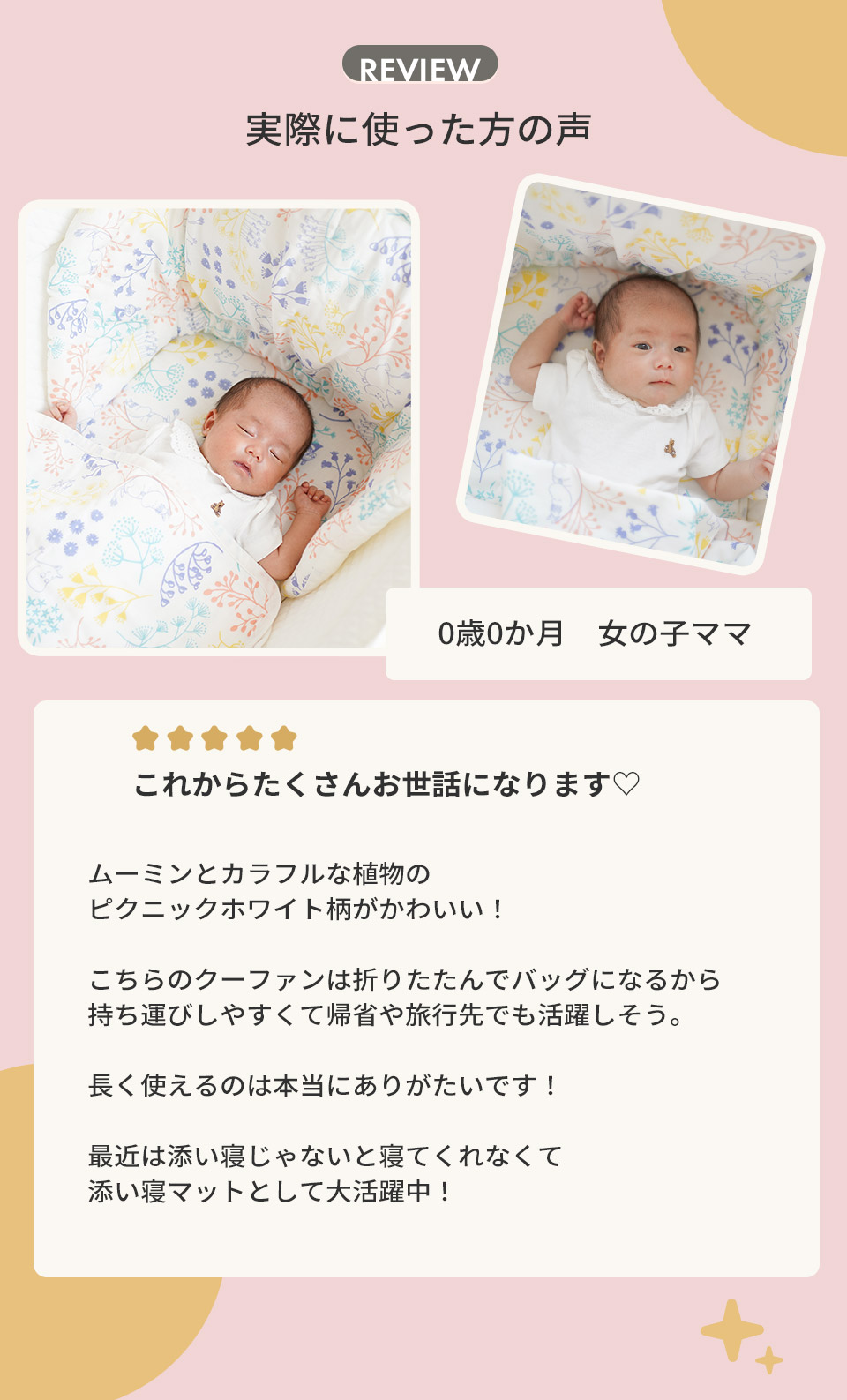 スタッフコメント