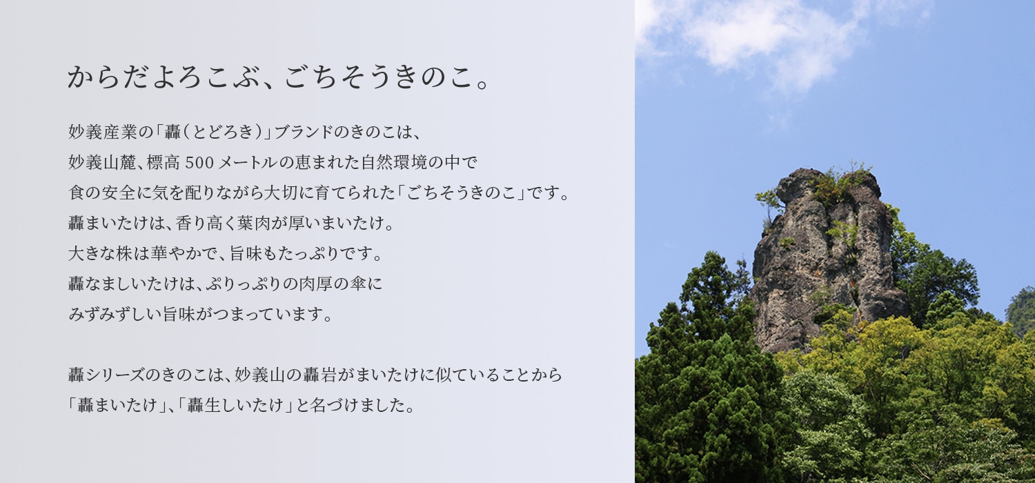 からだよろこぶ、ごちそうきのこ。妙義産業の「轟（とどろき）」ブランドのきのこは、妙義山麓、標高500メートルの恵まれた自然環境の中で食の安全に気を配りながら大切に育てられた「ごちそうきのこ」です。 轟まいたけは、香り高く葉肉が厚いまいたけ。大きな株は華やかで、旨味もたっぷりです。轟なましいたけは、ぷりっぷりの肉厚の傘にみずみずしい旨味がつまっています。