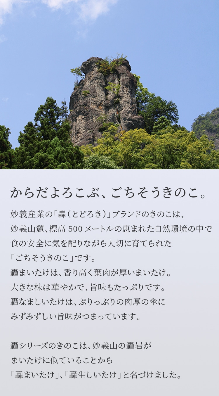 からだよろこぶ、ごちそうきのこ。妙義産業の「轟（とどろき）」ブランドのきのこは、妙義山麓、標高500メートルの恵まれた自然環境の中で食の安全に気を配りながら大切に育てられた「ごちそうきのこ」です。 轟まいたけは、香り高く葉肉が厚いまいたけ。大きな株は華やかで、旨味もたっぷりです。轟なましいたけは、ぷりっぷりの肉厚の傘にみずみずしい旨味がつまっています。